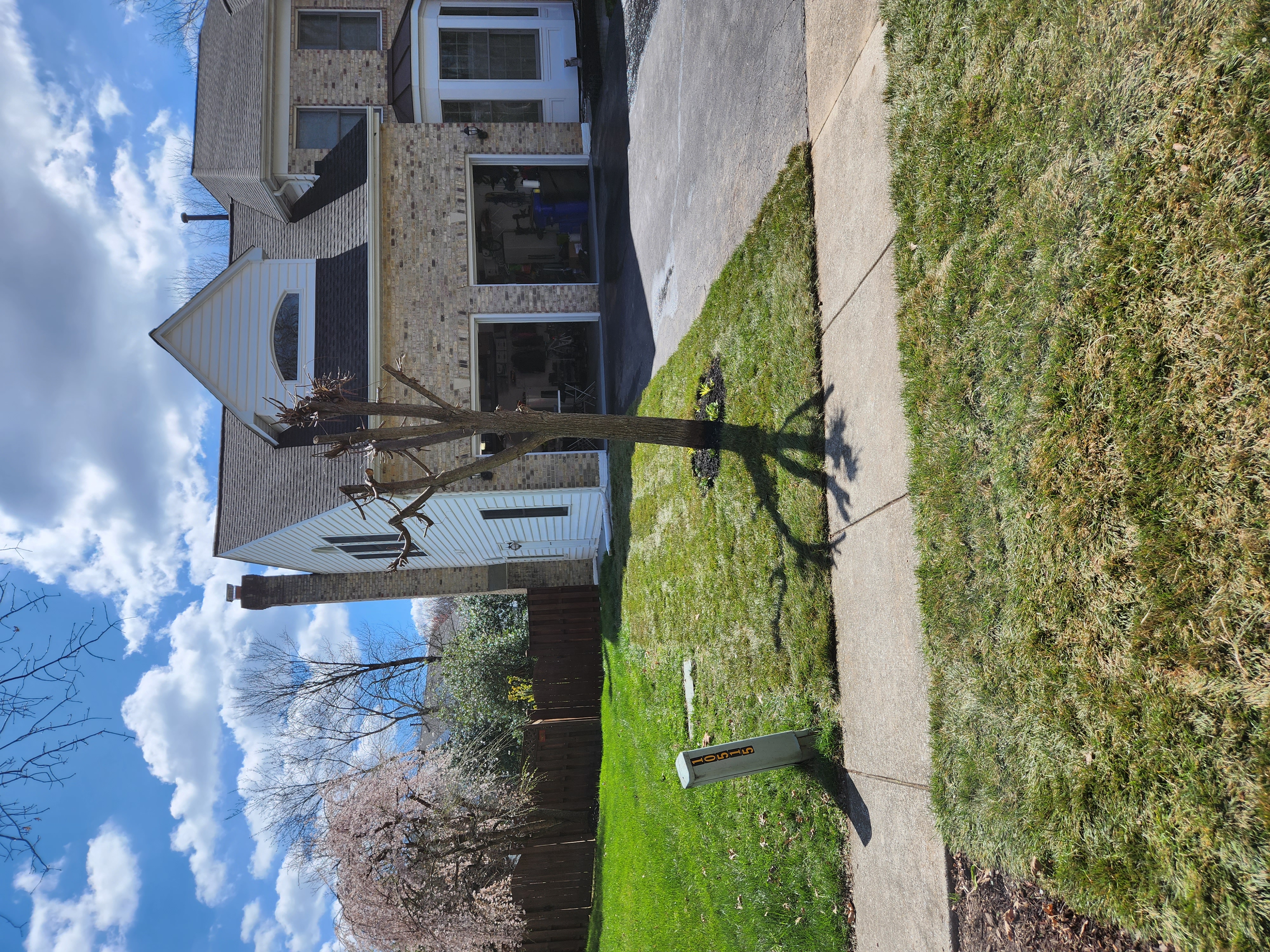 Sod Installation (After)